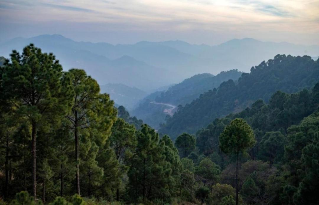 The Kasauli Western Uphills I Serviced Apartments I Pvt Balcony I Peacefull Area I By Exotic Stays Exterior photo