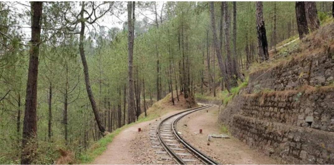 The Kasauli Western Uphills I Serviced Apartments I Pvt Balcony I Peacefull Area I By Exotic Stays Exterior photo